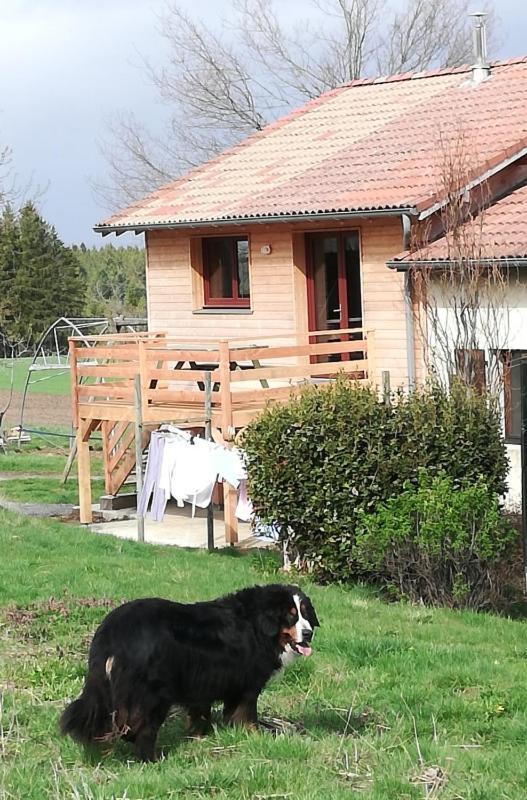 Gite La Ferme De Baffour La Chaise-Dieu Zewnętrze zdjęcie